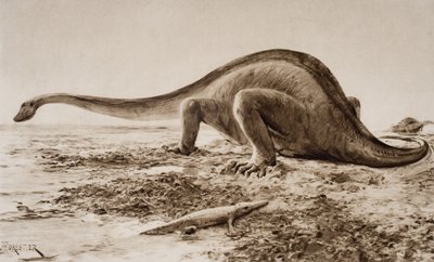 Brachiosaurus von Amedee Forestier